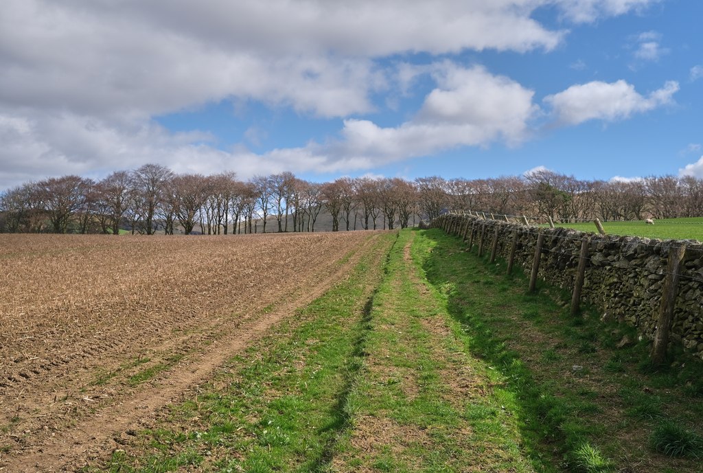 At Boreland Farm (2) © Anthony O'Neil cc-by-sa/2.0 :: Geograph Britain ...