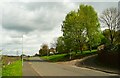 Grass and trees on a slum clearance site, Lillands Lane, Rastrick