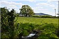 East Knoyle: Grassland