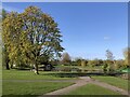 West Park, Newton Aycliffe