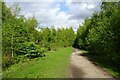 Path along a former railway line