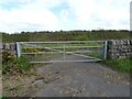 SH4673 : Field entrance off Ffordd Caergybi (Holyhead Road) by JThomas