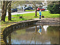 Pond at Balmacara Square (2)