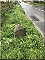 Old Milestone by the A394, west of Longdowns