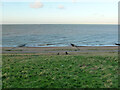 Tankerton Slopes and Beach, Whitstable