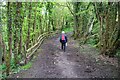 Crossing Swettenham Brook