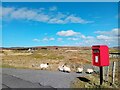 NB1634 : Postbox on Great Bernera by David Bremner