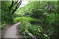 Pond by Outwood Trail