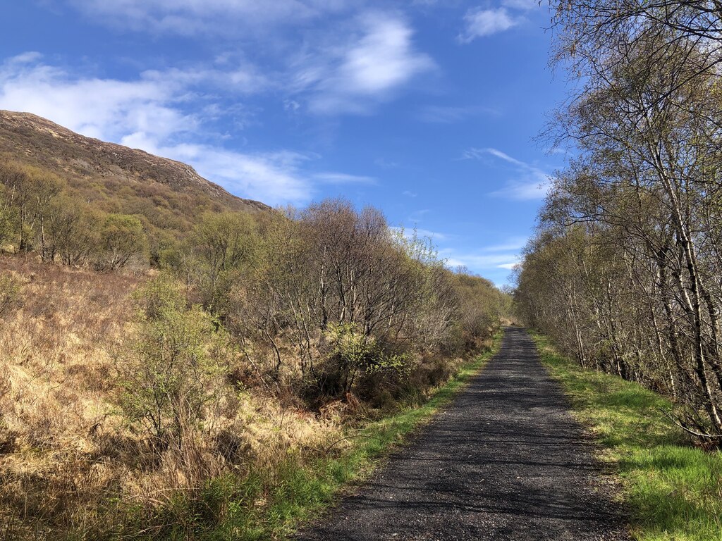 Forest road, Kinloch © Richard Webb cc-by-sa/2.0 :: Geograph Britain ...