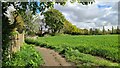 Path at New Biggin Hill, Pledwick