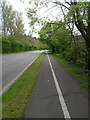 Shared-use path alongside Telford Way