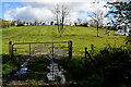 Muddy entrance to field, Edenagee