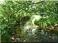 River Brain, Witham