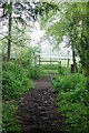 Gate on Clay Lane