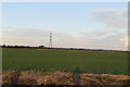 Romney Marsh farmland