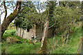 Ruined cottage along Cloy Road, Carrickagreany