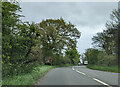 On the A3052, tourist sign for donkeys, golf and camping ahead