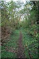 Path along the ditch surrounding Hunsbury Hillfort