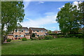 Houses in Lingfield Grove, Perton