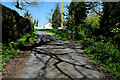 Tree shadows along Botera Road