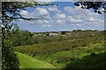 Field slopes down into the Hayle River valley