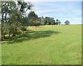 North Yorkshire pasture