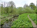 Beanlands Island channel