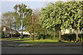 Small Green on Beaumont Leys Lane, Leicester