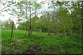 Muddy bridleway near Ouse Gill Beck