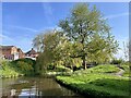 Caldon Canal