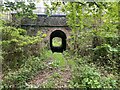 Tunnel near Jordanston Halt