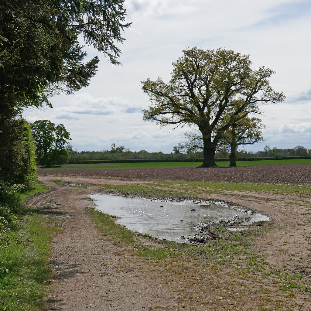 Bridleway south of Wrottesley Hall in... © Roger D Kidd cc-by-sa/2.0 ...