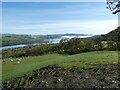 Morning mist disperses over Llyn Tegid / Bala Lake in May