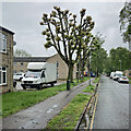 Lichfield Road on wet May morning