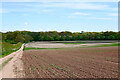 Arable fields north-west of Perton in Staffordshire