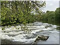 Weir on Afon Teifi