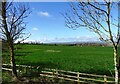 Field beside Corbridge Road