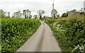 The Mulladry Road near Richhill