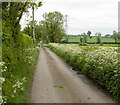 The Mulladry Road near Richhill