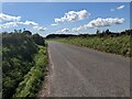 The Ridgeway near Hodgeston Hill