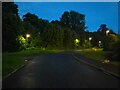 Russett Road at night, Alton