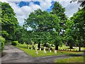 Aldershot Military Cemetery: May 2024