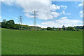 Cereal crop field north-west of Orton in Staffordshire