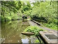 Caldon Canal Overflow Ford