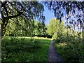 Path at Holmer Lake, Telford