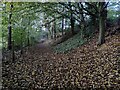 Path and woodland next to the A442 Brockton Way