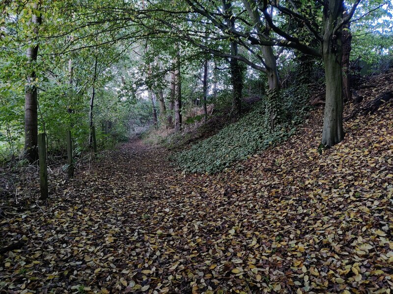 Path And Woodland Next To The A442 © Mat Fascione Cc By Sa 2 0 Geograph Britain And Ireland