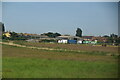 Grassland on the edge of Deal