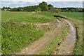 Track between fields south of Kelshall