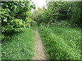 Washlands path, off Park Lodge Lane, Eastmoor